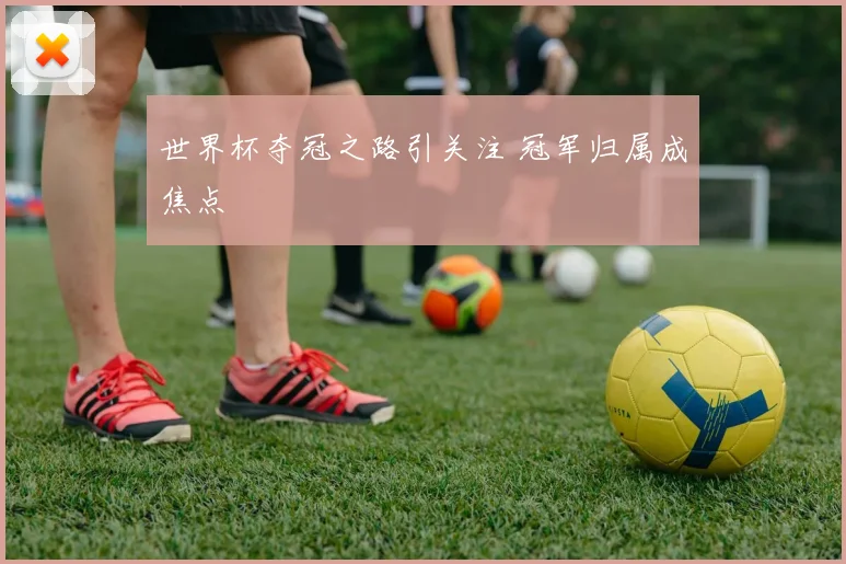 世界杯夺冠之路引关注 冠军归属成焦点